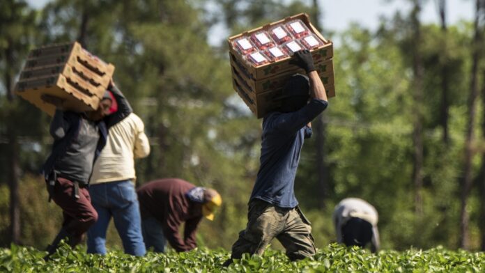 turkey migrant workers